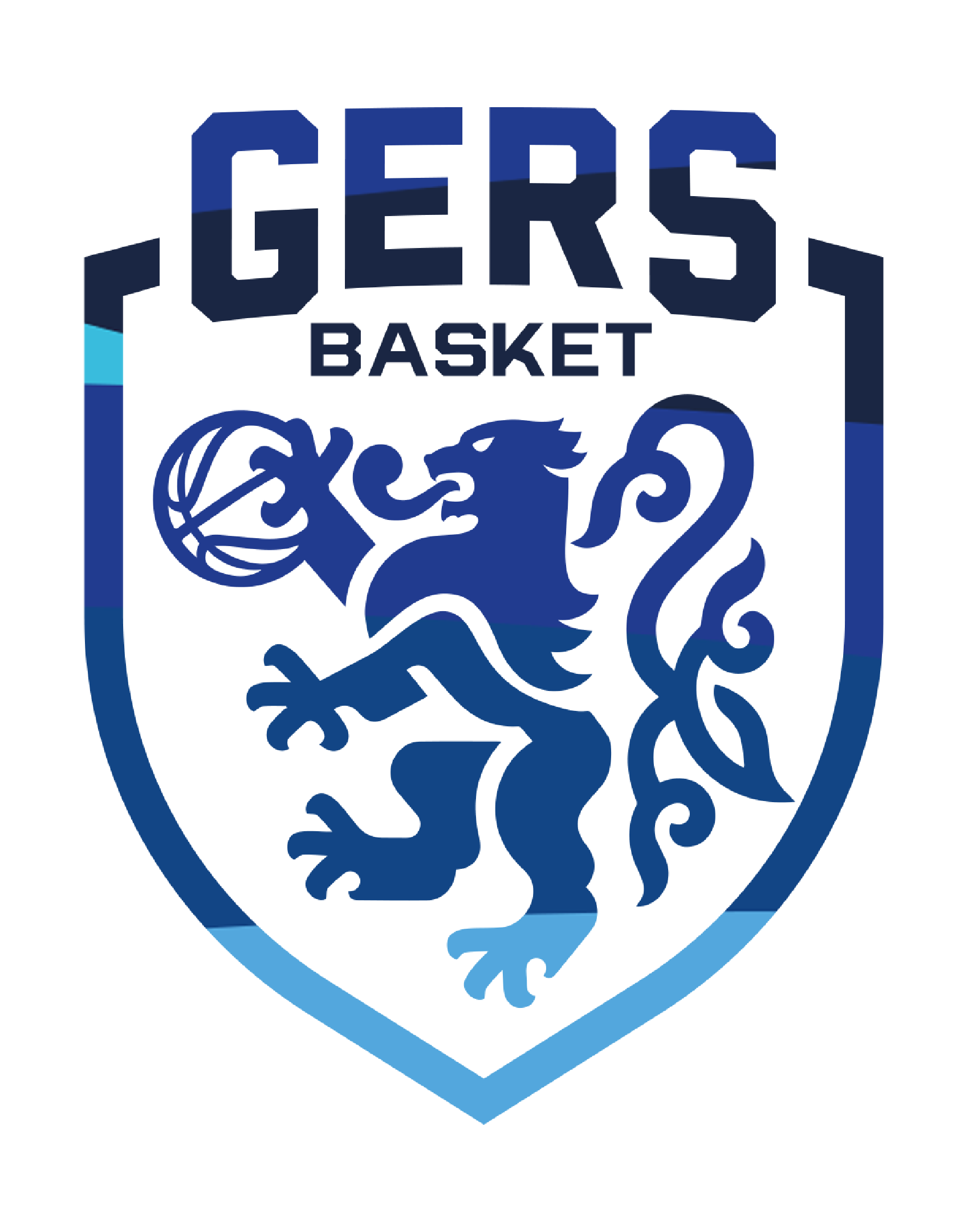 logo basket